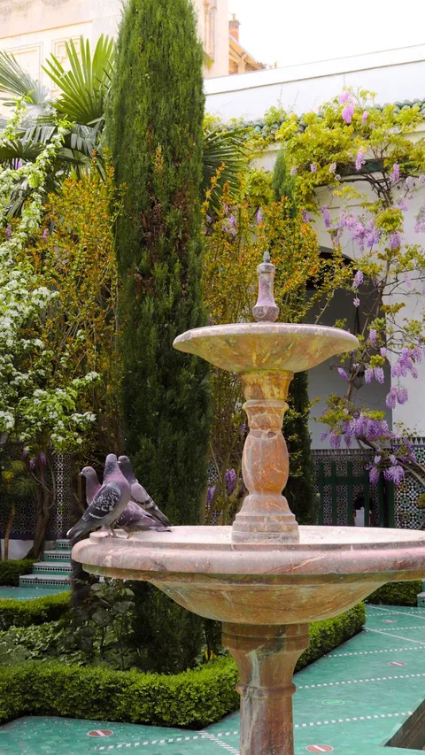 Explore a tranquil Parisian garden with a central stone fountain and surrounding lush greenery.