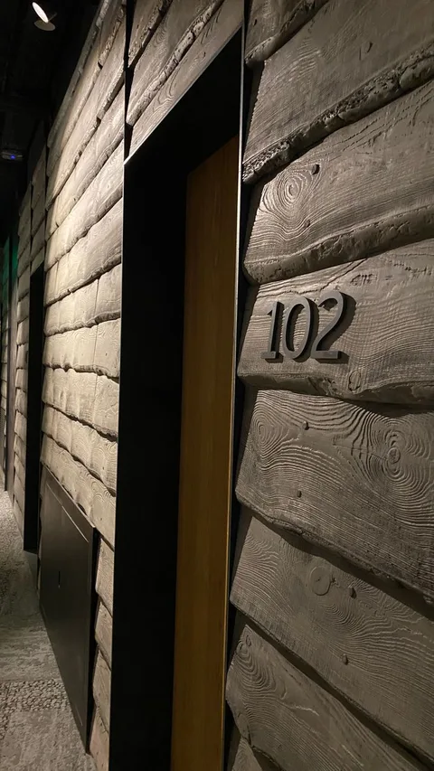 Close-up of a textured wooden wall with room number 102 in Moscow, Russia.