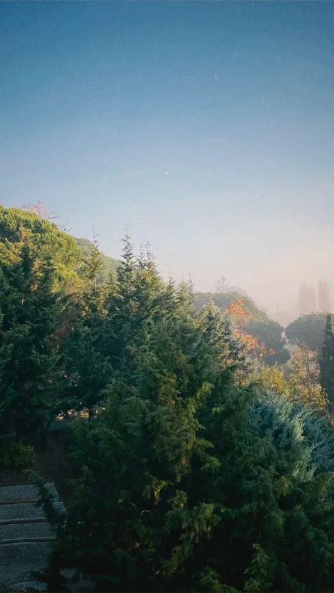 Morning mist over treetops near Generalife gardens at Parador de Granada